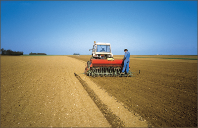 producteurs de l�gumes � destinaton industrielle